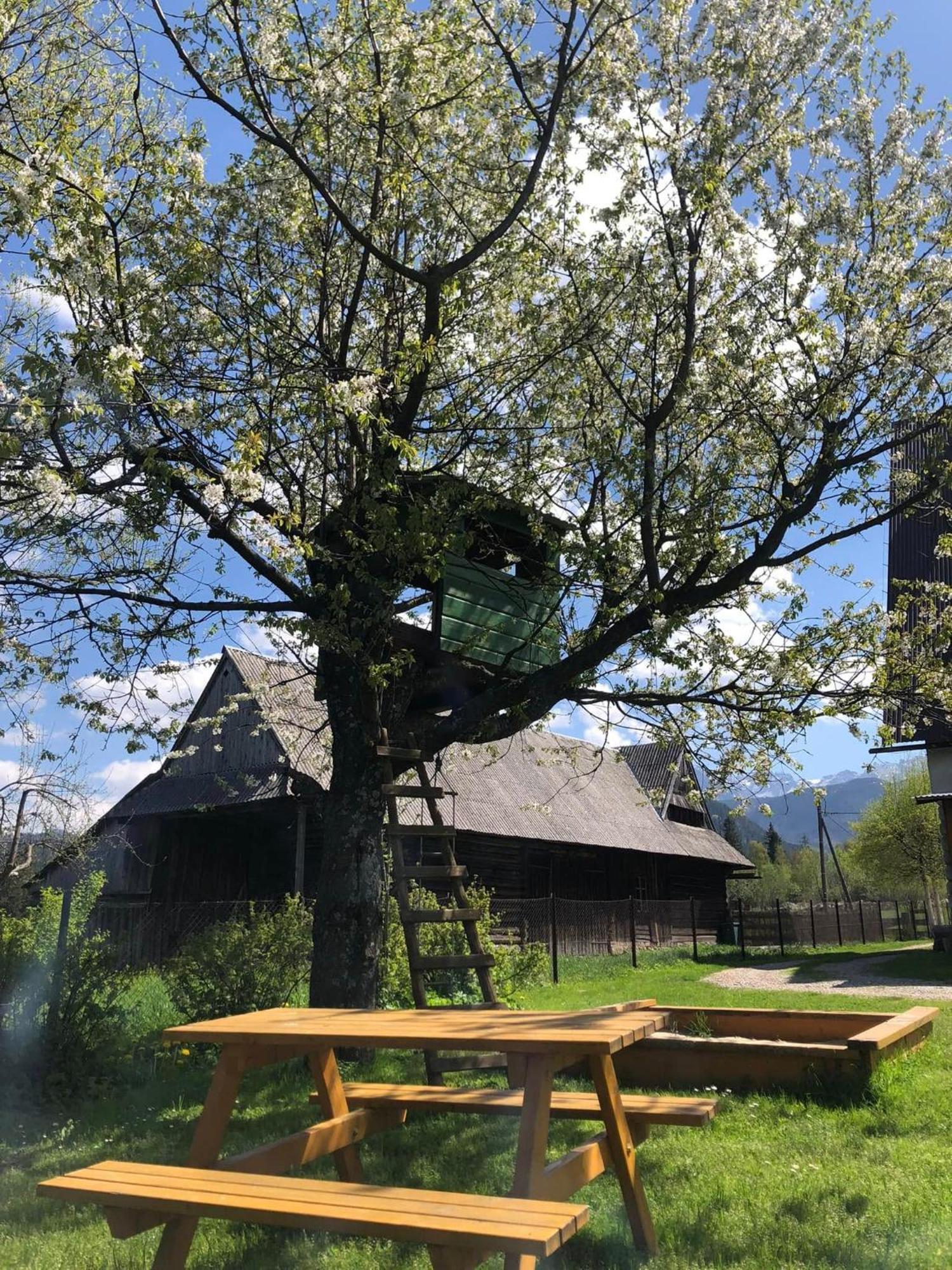 Pensjonat U Doroty, Zakopane - Twoje Miejsce W Gorach Exterior photo